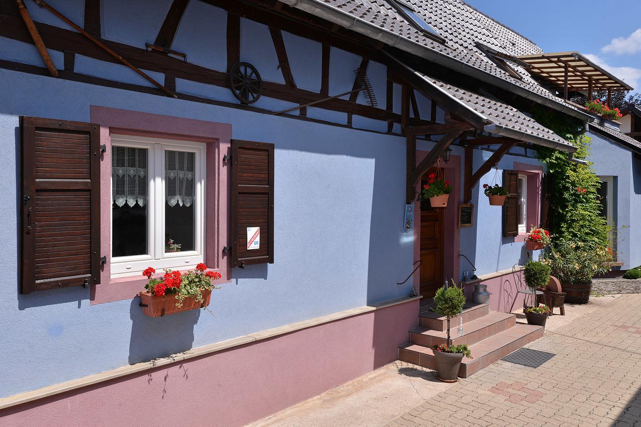 Отель Eden Des Choux Krautergersheim Экстерьер фото